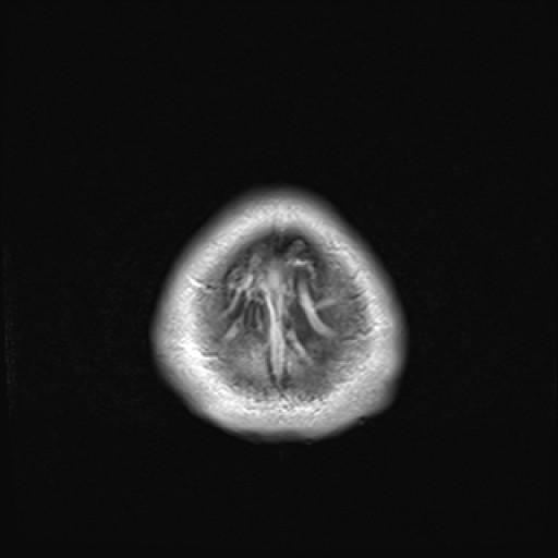 Click on the Serie image to view the images of VILLANUEVA, WILLIAM A.